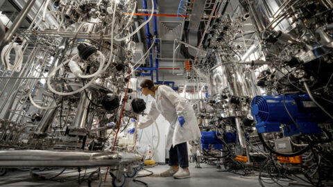 Our Lab Grown Future